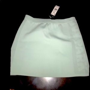 Ivy Park Skirt